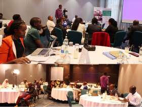 Collaborative efforts in Kenya towards addressing gender disparities in ...
